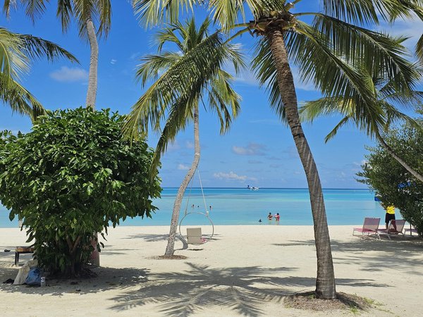 Voyage Écoresponsable : Votre Guide Ultime pour une Aventure Durable et Immergée dans la Nature