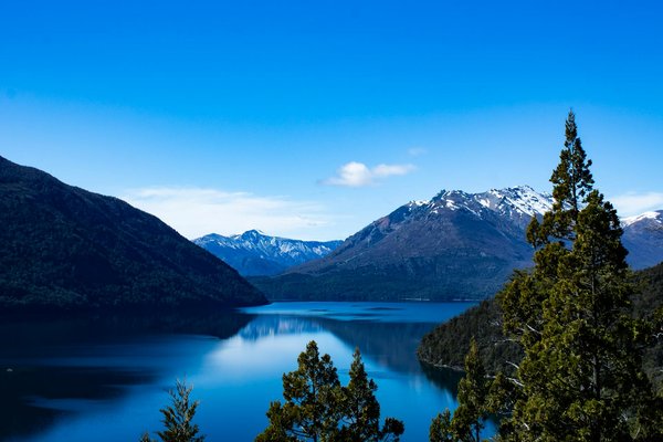 Aventures Mémorables : Témoignages des Visiteurs du ZooParc de Beauval